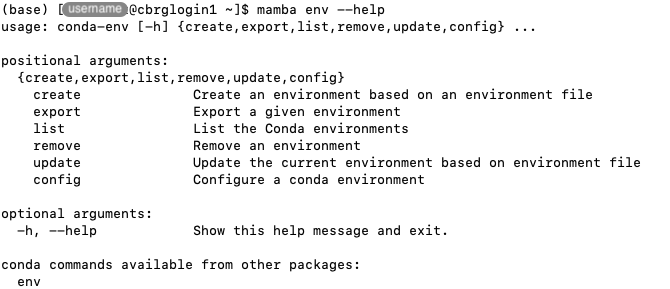 Displaying the help page of the &lsquo;mamba env&rsquo; command.