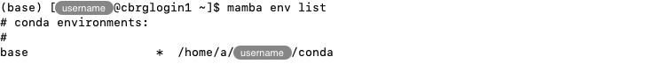 Displaying the list of Conda environments that currently exist.