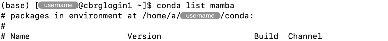 Output of the &lsquo;conda list&rsquo; command for a package that is not currently installed in the environment.