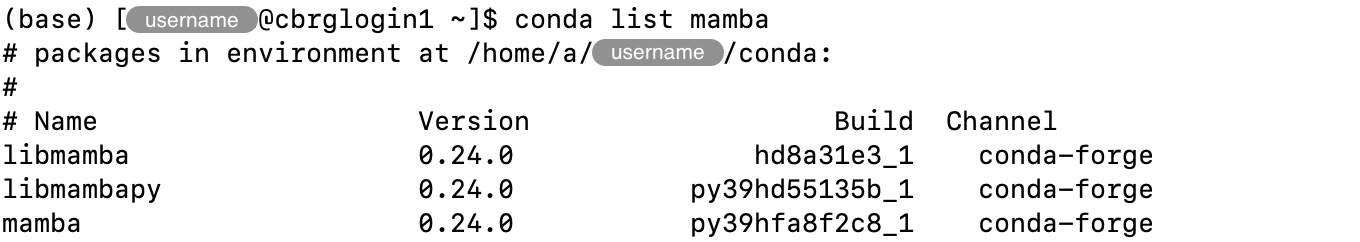 Output of the &lsquo;conda list&rsquo; command for a package that is installed in the environment.