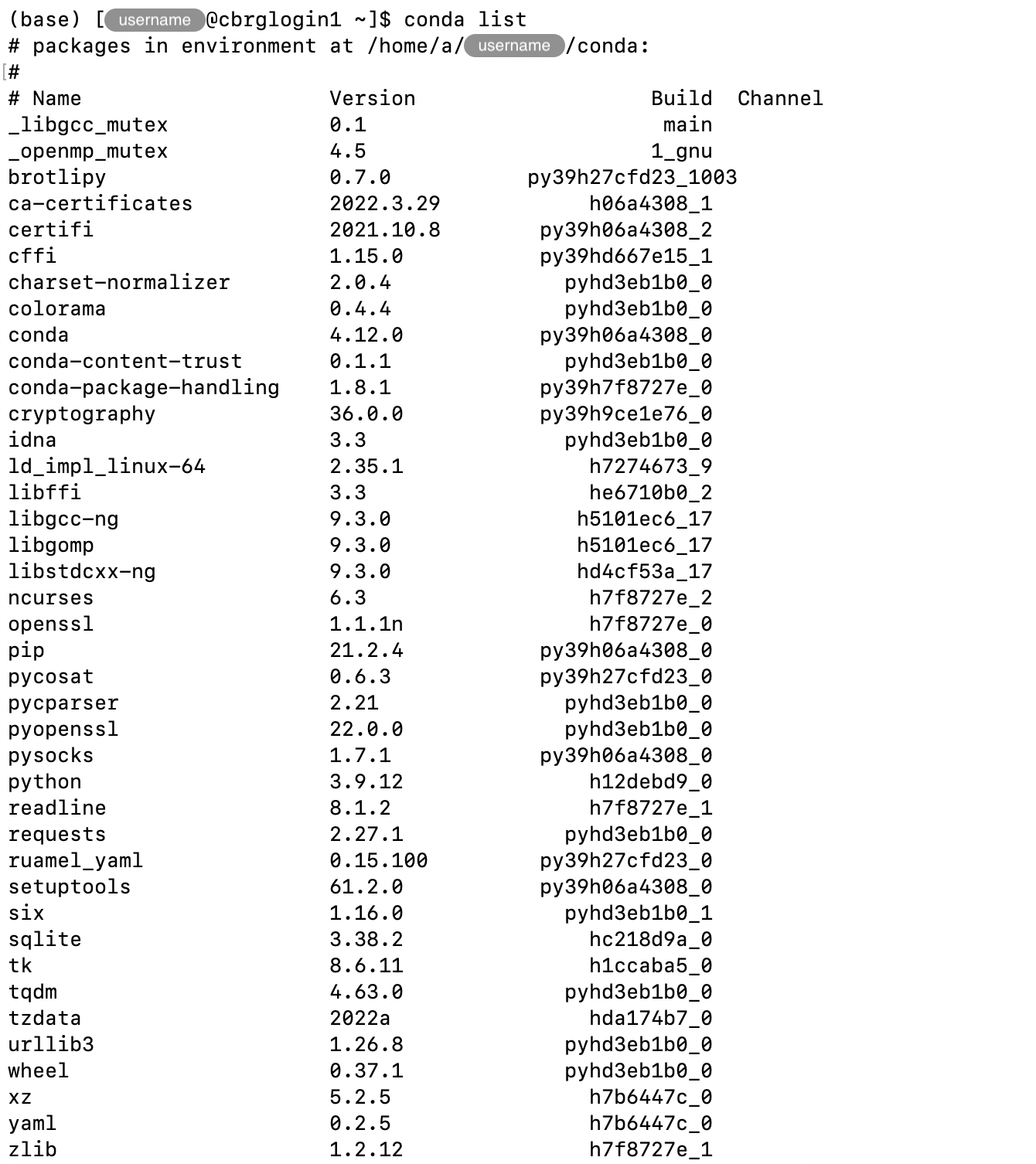 Example output of the <code>conda list</code> command.