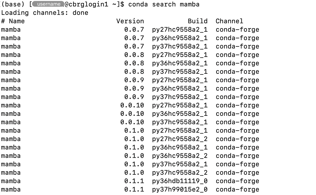 Extract of an example output for the &lsquo;conda search&rsquo; command.