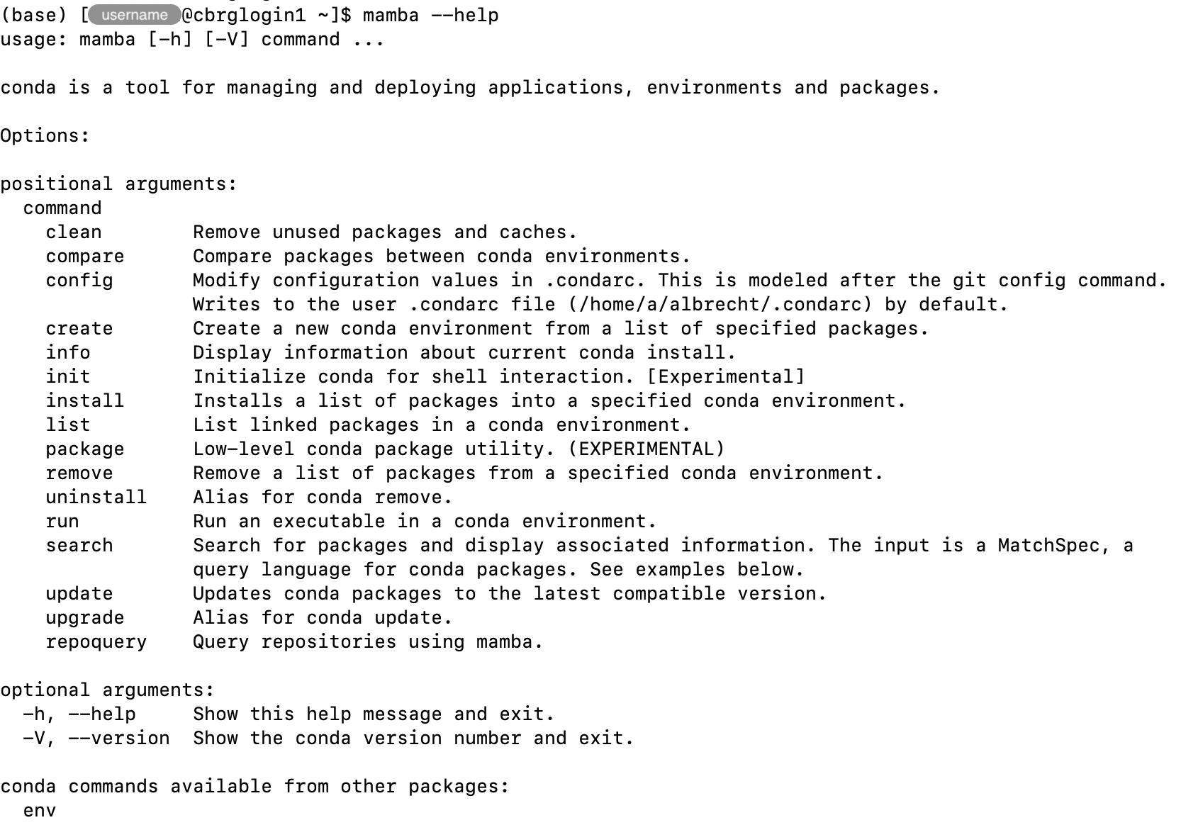 Example output of the &lsquo;mamba &ndash;help&rsquo; command.