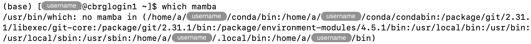 Output of the <code>which</code> command for an executable that is currently not detected on the &lsquo;PATH&rsquo;.