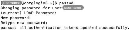 Changing an SSH password.