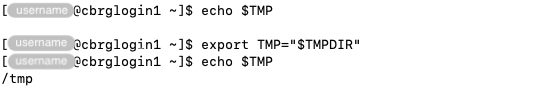Defining the &lsquo;TMP&rsquo; environment variable.