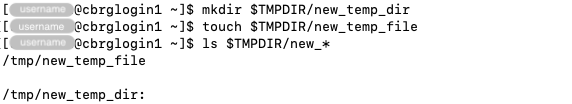 The &lsquo;TMPDIR&rsquo; environment variable.