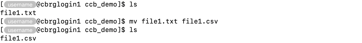 Renaming a file using the &lsquo;mv&rsquo; command.