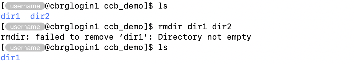 Removing an empty directory using the &lsquo;rmdir&rsquo; command.