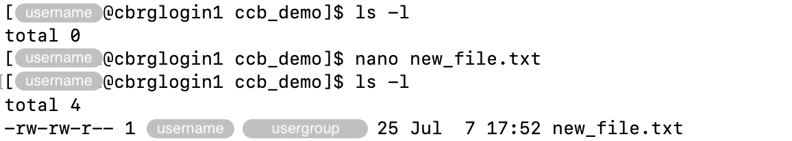 Creating a new file using &rsquo;nano&rsquo;.