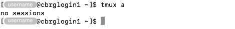 Message when no tmux sessions exist.
