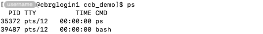Example output of the &lsquo;ps&rsquo; command when the user is not actively running any command.