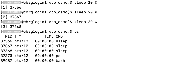 Example output of the &lsquo;ps&rsquo; command when the user is actively running commands.