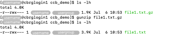 Decompressing a file using the &lsquo;gunzip&rsquo; command.