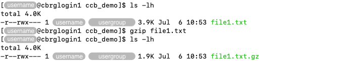 Compressing a file using the &lsquo;gzip&rsquo; command.