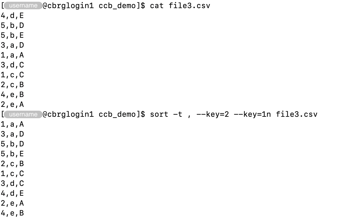 Sort a file using multiple keys.