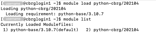 Load the &lsquo;python-cbrg/202104&rsquo; module
